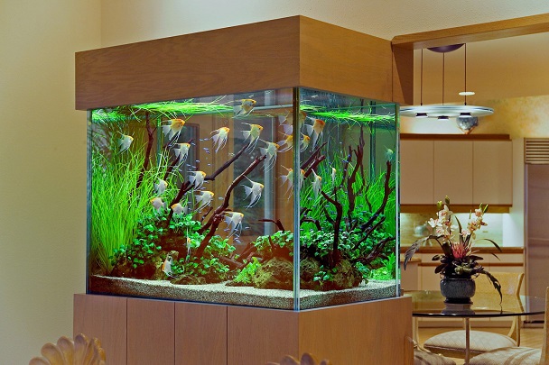 аквариум в интерьере