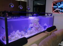 Обслуживание аквариумов м Беговая