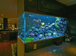 Обслуживание аквариумов м Беговая