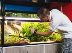 Обслуживание аквариумов в ЗАО
